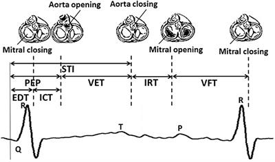 Assessment of Fetal Development Using Cardiac Valve Intervals